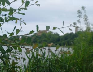 Talmont-Saint-Hilaire et Lac de Finfarine par Garnaud - Talmont-Saint-Hilaire - 3