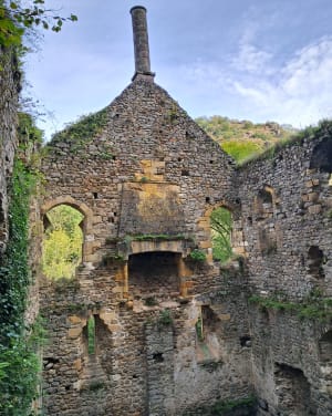 Peyrusse-le-Roc et son voyage dans le temps - Peyrusse-le-Roc - 7