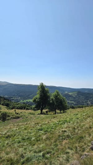 De rivier Ordanche - Murat-le-Quaire - 37