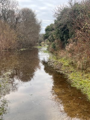 Promenade autour de Kernogan - Erdeven - 2