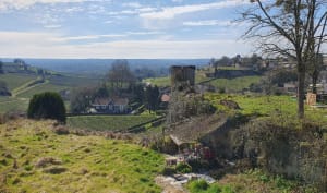 Saint-Emilion en een "grand cru"-wandeling in het hart van de stad - Saint-Emilion - 8