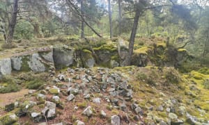Sur les traces des carriers - Fontainebleau - 5