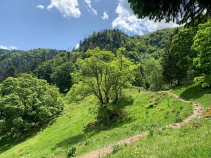 Le sentier des roches - Stosswihr - 63