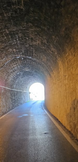 Dans la campagne Flayoscaise - Flayosc - 13