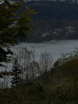 Trek près de Chambéry et côtoyer les sommets - Vimines - 9