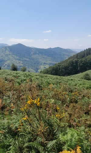Boucle au départ du Col des Palomieres - Gerde - 20