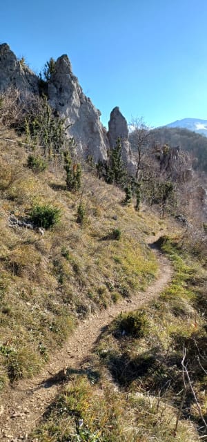 Rocher de Julie - Montgaillard - 29