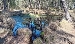Circuit des points de vue, fontaines et grottes, par la Tour Denecourt - Avon - 38
