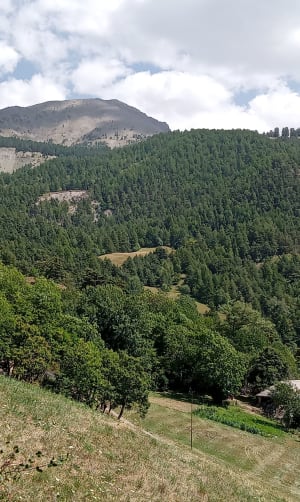 Roméyère - Les Passours - L’Aubrée Basse - Méolans-Revel - 6
