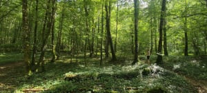 Escapade naturelle du Dégagnazès et paysages du Quercy - Virginie - 2