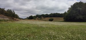 Escapade naturelle du Dégagnazès et paysages du Quercy - Virginie - 4