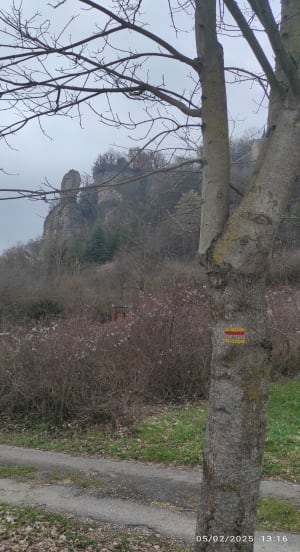 Croix de Bramafan belle rando en sous bois. - Saint-Sorlin-en-Bugey - 12