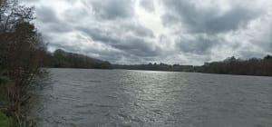 Marche au bord de l'Erdre - Sucé-sur-Erdre - 7