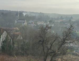 Balade champêtre de Davron à Thiverval et saut de lapin - Davron - 11