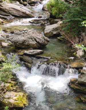 Tour du lac de Montriond et la jolie cascade d’Ardent - Montriond - 18