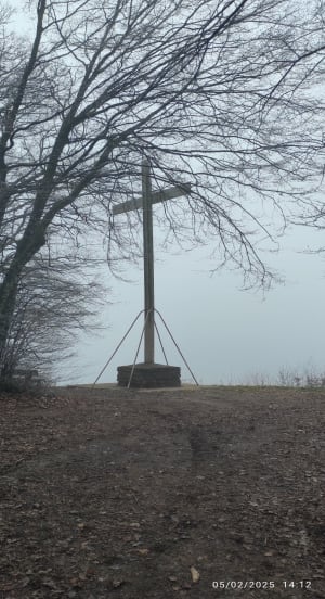 Croix de Bramafan belle rando en sous bois. - Saint-Sorlin-en-Bugey - 15