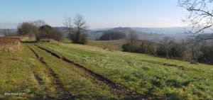 Saint-Caprais-de-Lerm, dans les coteaux de l'Agenais - CHRISTOPHE - 2