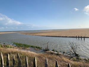 Balade de la Faute sur Mer à Longeville sur Mer - L'Aiguillon-la-Presqu'île - 10