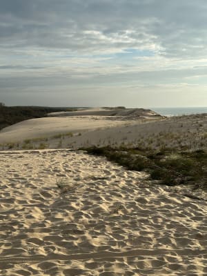 De Carcans plage au Crohot des cavales  retour par la plage. - Carcans - 10