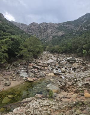 Gorges de Spelunca et cœur de Corse - Ota - 13