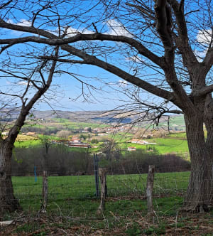 Escapade aux pays des pottoks - Ainhoa - 16