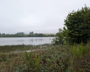 Au fil de l'étang de Pulvérières - Pulvérières - 6
