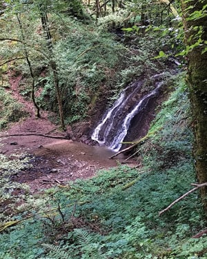 Randonnée de la cascade à Laguenne - Laguenne-sur-Avalouze - 7