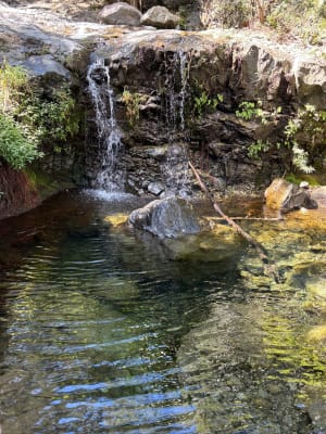 Cascade du Bras Rouge en aller-retour - Cilaos - 11