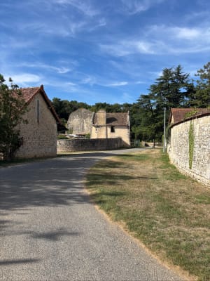 Par le Bois de la Liche et Chaume du Puits - Valence-en-Poitou - 5
