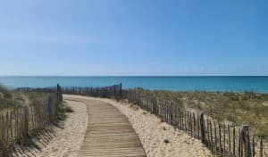 Le bois et la plage du Bois-Plage-en-Ré - Le Bois-Plage-en-Ré - 3