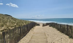 Le bois et la plage du Bois-Plage-en-Ré - Le Bois-Plage-en-Ré - 5