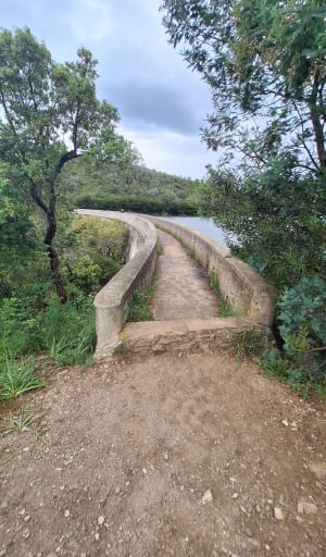 Entre terre et mer, du côté de Bregancon - Bormes-les-Mimosas - 26