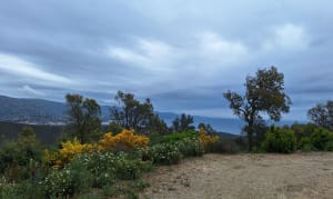 Entre terre et mer, du côté de Bregancon - Bormes-les-Mimosas - 29