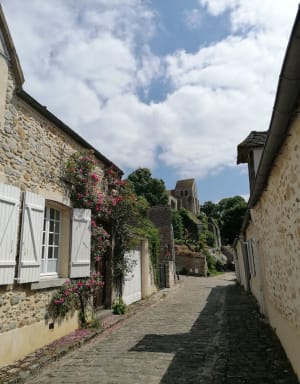 Ma plus belle balade dans la forêt de Rochefort - Sylvain - 3