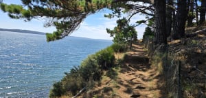 Logonna-Daoulas, la Pointe du Bindy et la Grève du Yelen - Logonna-Daoulas - 4