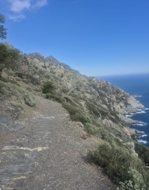 Notre-Dame-du-Mai en een verkwikkende wandeling langs de kust - Six-Fours-les-Plages - 36