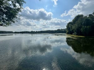 Boucle autour du campus, du lac du Heron et de Fives - Lille - 3