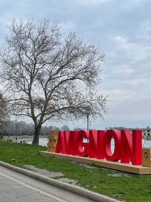 Bras du Rhône au départ d'Avignon - Avignon - 10