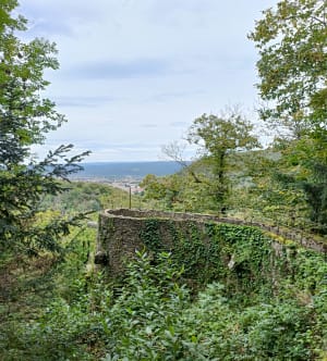 Voetgangersbrug van Mazamet en middeleeuws dorp Hautpoul - Les Cabanes du Gua, Hautpoul - 34