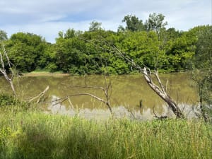 Barthes de Rivière - Josseline  - 4