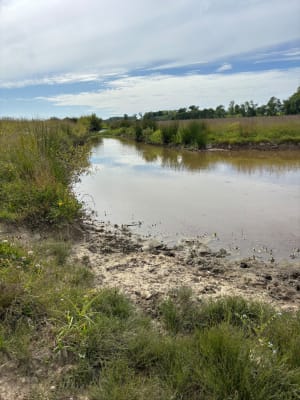Barthes de Rivière - Josseline  - 5