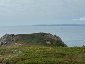 Falaises de Beuzec-Cap-Sizun et envolées sauvages - François - 18