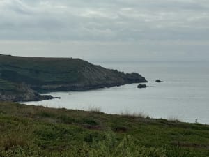 Falaises de Beuzec-Cap-Sizun et envolées sauvages - François - 19