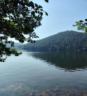 Ronde van het meer van Gérardmer - Gérardmer - 4