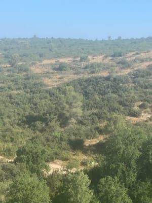 Villetelle et moment hors du temps dans la garrigue - Villetelle - 6
