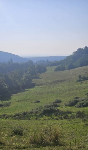Randonnée au Château de Rougemont - Masevaux-Niederbruck - 6