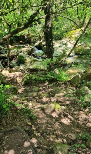 Les Gorges du Blavet - Bagnols-en-Forêt - 16