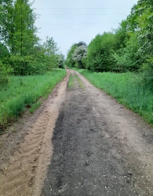 Spacer między laskami - Jaworzno - 11