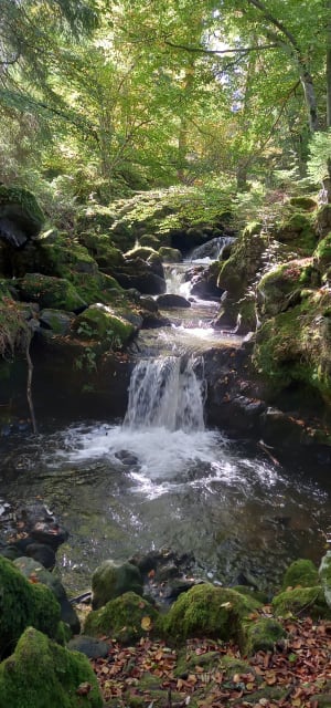 Balade entre Besse et la Cascades de Chiloza - Besse-et-Saint-Anastaise - 43