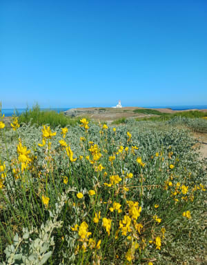 Découvrir le littoral de Sauzon à Belle-Île-en-Mer - Marie José - 6